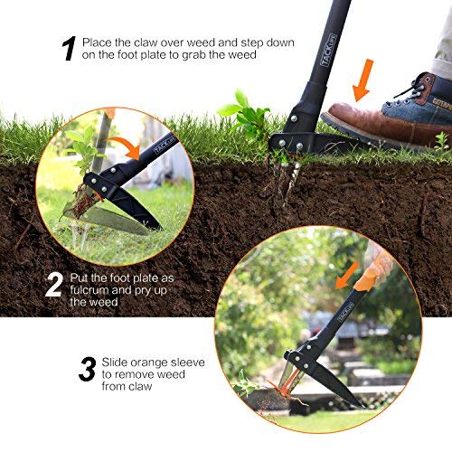 TACKLIFE Weeder Tool, Innovative Automatic Spring Device 39-Inch Stand-up weeder, Heavy duty Efficient 3-Claw Stainless Steel and High Strength Foot Pedal, Ideal for Permanently Removing Dandelions