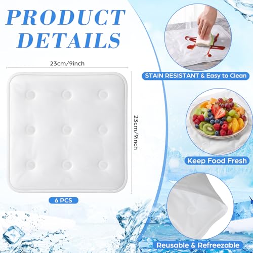 Image of LemonRoad 6 Pcs Cooling Mat for Food Buffet Table, 9 x 9 Inches Reusable Freezable Ice Mat Cooling Serving Pads Chilled Serving Tray Charcuterie Cold Platter for Cheese, Veggie, Parties & Picnics
