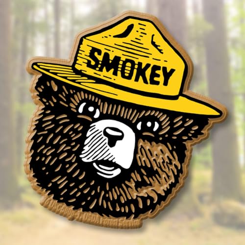 Imán Cabeza de Smokey Bear de Goma 3D Vintage miniatura 4