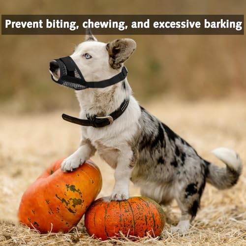 Maulkorb für Hunde, Maulkorb für kleine Hunde, Beißschutz, weich, verhindert Beißen, verhindert Kauen und Bellen, Trinken möglich, verstellbare Schlaufe, Hundetraining