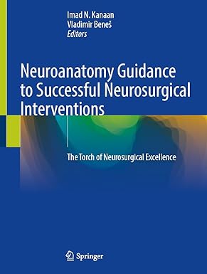 Neuroanatomy Guidance to Successful Neurosurgical Interventions: The Torch of Neurosurgical Excellence-Wow! eBook