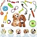 Amzeeniu Hundespielzeug,16 Pcs Seil Ball Hunde robuste Zähne Kauen langlebig Spielzeug Zahntraining Set Für Kleine mittelgroßen Hund Interaktives Spielset Unzerstoerbar BaumwollknotenTau Tier