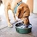 Loving Pets Bella Dog Bowls- Stainless Steel Dog & Cat Bowls - Spill Proof Dog Food Bowl, Cat Bowl, Puppy Essentials & Pet Supplies Great for Home & Travel (Small 10-20 lbs, Artichoke)