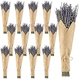 Jutom 12 Pack Total 2280 Stems Dried Lavender Bundle Bulk Organic Lavender Flowers Decor Natural Dried Purple Flowers Bunches for Bathroom Shower DIY Arrangements Wedding Home Party Decorations
