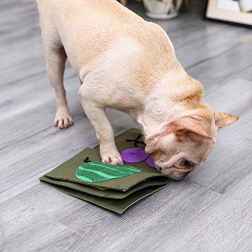 犬が手を舐める どんなサインがあるの 意味するものは ワンちゃんと夕焼けの中で散歩