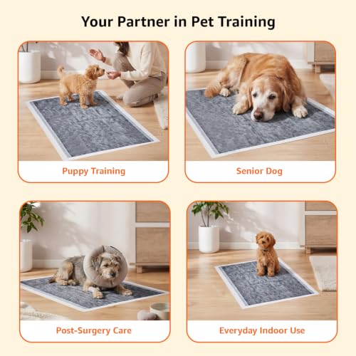 Image of AmazonBasics Pet Pee Pads for Potty Training | Carbon Activated | XL 71 x 86 cm| 50 Pieces | Leak-Proof Quick Dry Design, 5-Layers, for All Dogs and Puppies (Carbon Activated, XL Size, 50 Pads)