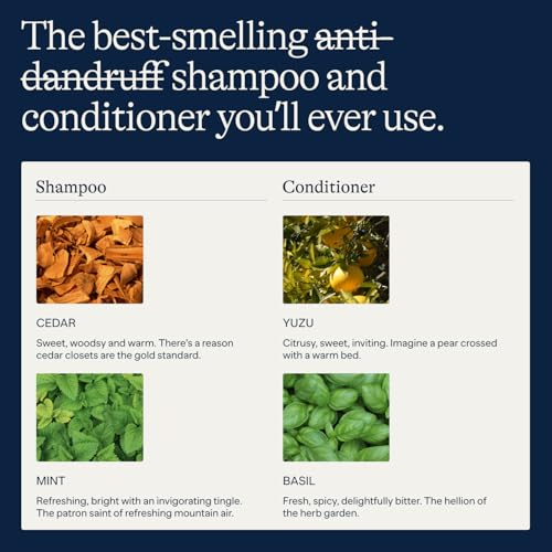 Anti Dandruff Shampoo & Conditioner for Dry & Flaky Scalp, 9 fl oz | Sulfate & Paraben Free for Healthy Hair | Hydrating Shampoo & Moisturizing Conditioner Set for Scalp Care, Cooling Peppermint