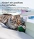 Petstages Lil’ Avocato - Katzenspielzeug - Zahnpflege - Avocado - Katzenminze - Grün - Einheitsgröße