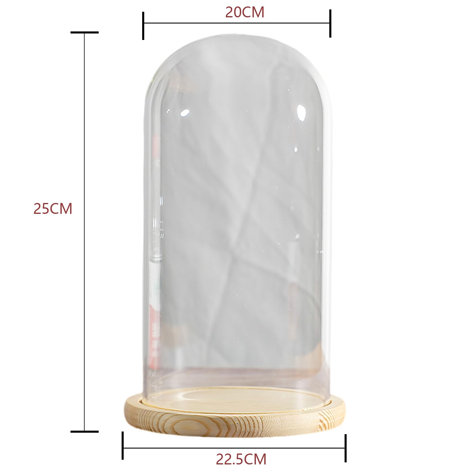 Cloche dôme en verre avec base en bois, 20 x 25 cm, présentoir pour plantes, ornements et figurines, design élégant en cloche, parfait pour la décoration de la maison