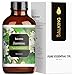 SALKING Jasminöl 120ml, 100% Reine Natürliche Jasmin ätherisches öl für Aroma Diffuser, Aromatherapie Duftöl für Duftlampen Luftbefeuchter, Massage, Seife, Kerzenherstellung, Geschenke für Frauen The Mass günstig Kaufen-SALKING Jasminöl 120ml, 100% Reine Natürliche Jasmin ätherisches öl für Aroma Diffuser, Aromatherapie Duftöl für Duftlampen Luftbefeuchter, Massage, Seife, Kerzenherstellung, Geschenke für Frauen