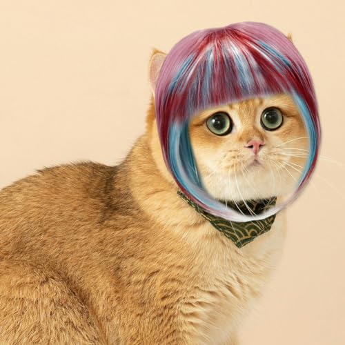 Peluca divertida para mascotas gatos y perros miniatura 4