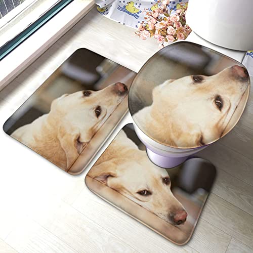 DIRYKILP Badematte + Konturmatte + Toilettendeckelbezug, gelber Hund wartet zu Hause 3 Stück Badematte Set, mit rutschfester Klebeunterseite