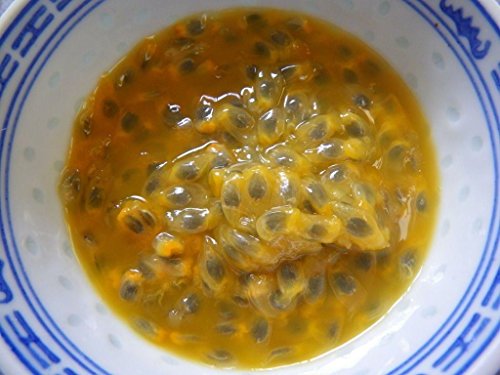 10 Yellow Passion Fruit Seeds,Passiflora Edulis Flavicarpa ,Jamaican Sweet Cup #TOP2