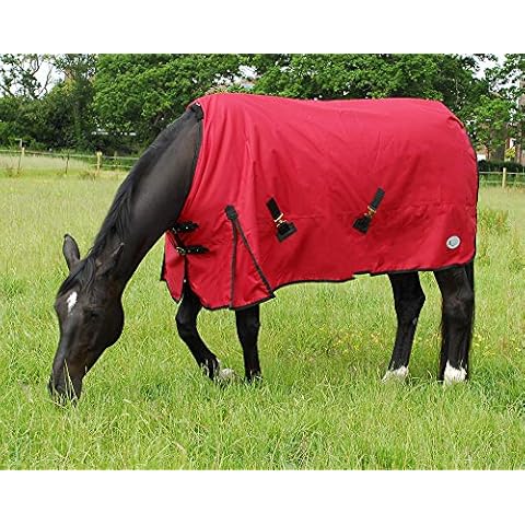 Alfombra para Exteriores Rhinegold Konig Cover