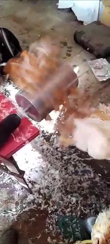 Spiumatrice Per Pollame Portatile - 24 Dita In Gomma Per Trapano