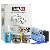 PAINT2FIX Touch Up Paint for Toyota - Celestial Silver 1J9 | Silver | Scratch and Chip Repair Kit -...