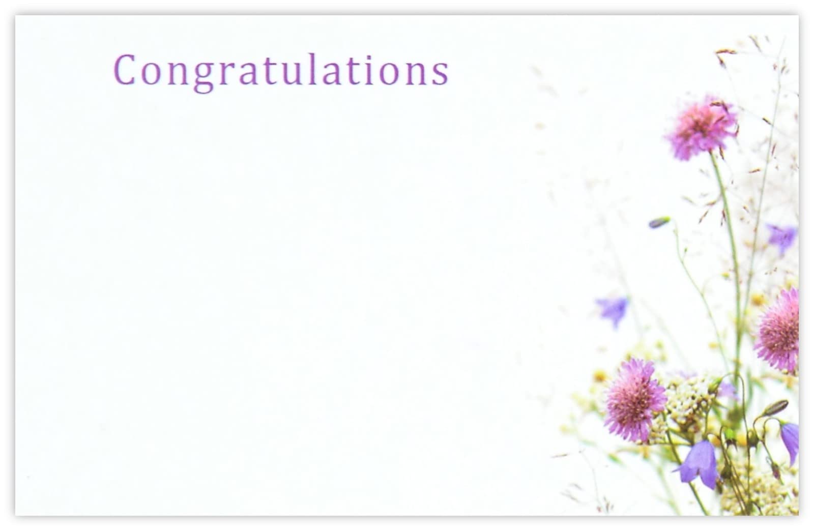 celloexpress Congratulations (Scabious) Flower Message Cards - 60mm x 90mm - Everyday Occasions Florist Card Gift Notes (Pack of 100)