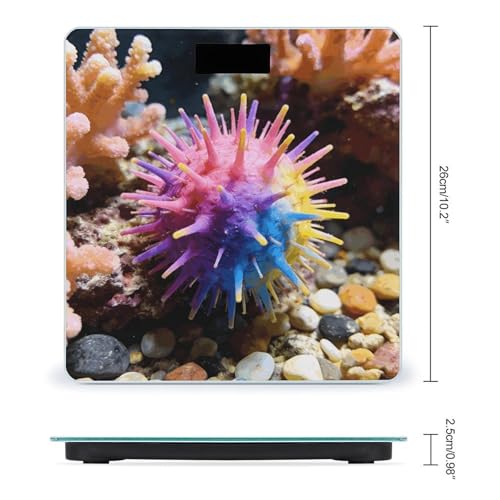 Báscula digital de baño con plataforma de vidrio templado y pantalla LED miniatura 2