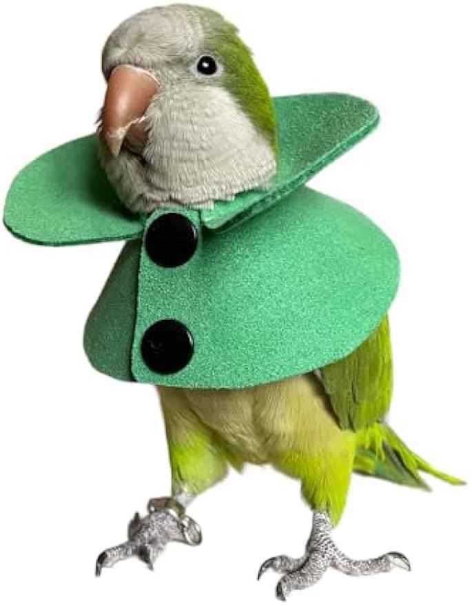 FORZENA Bird Clothes Pet Parrot Anti-bite Elizabethan Collars Anti-Grab Feather Plucking Wound Healing Safety Recovery Collar Cones for Budgerigar Lovebird Conure Cockatiel Cockatoo (XS)