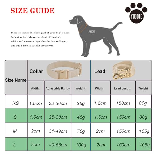 YUDOTE Hundehalsband und Leine Set Groß, Weiche Reizfreie Cord-Halsband-Leine Passende Combo für Den Täglichen Spaziergang, Cremeweiß