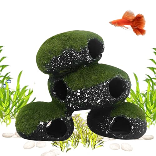 Nankoyal A | ەtVF^[glbN ٗpA - ঒ރXl[NGreE C/Wp