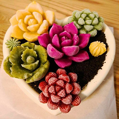 3D Silicone Succulent Cactus Candles Handmade Molds Fondant Mould Soap Mold for Valentine's day Birthday Party Wedding Spa Home Decoration - Thumbnail 2