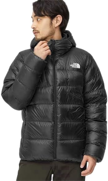 The North Face Alpine Nuptse Hoodie, Men
