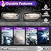 Nixon Offroad Fog Lights for Jeep Grand Cherokee 1999-2003 Fog Lamp Set Driving Fog Light Assembly Replacement 1 Pair (Clear Lens)