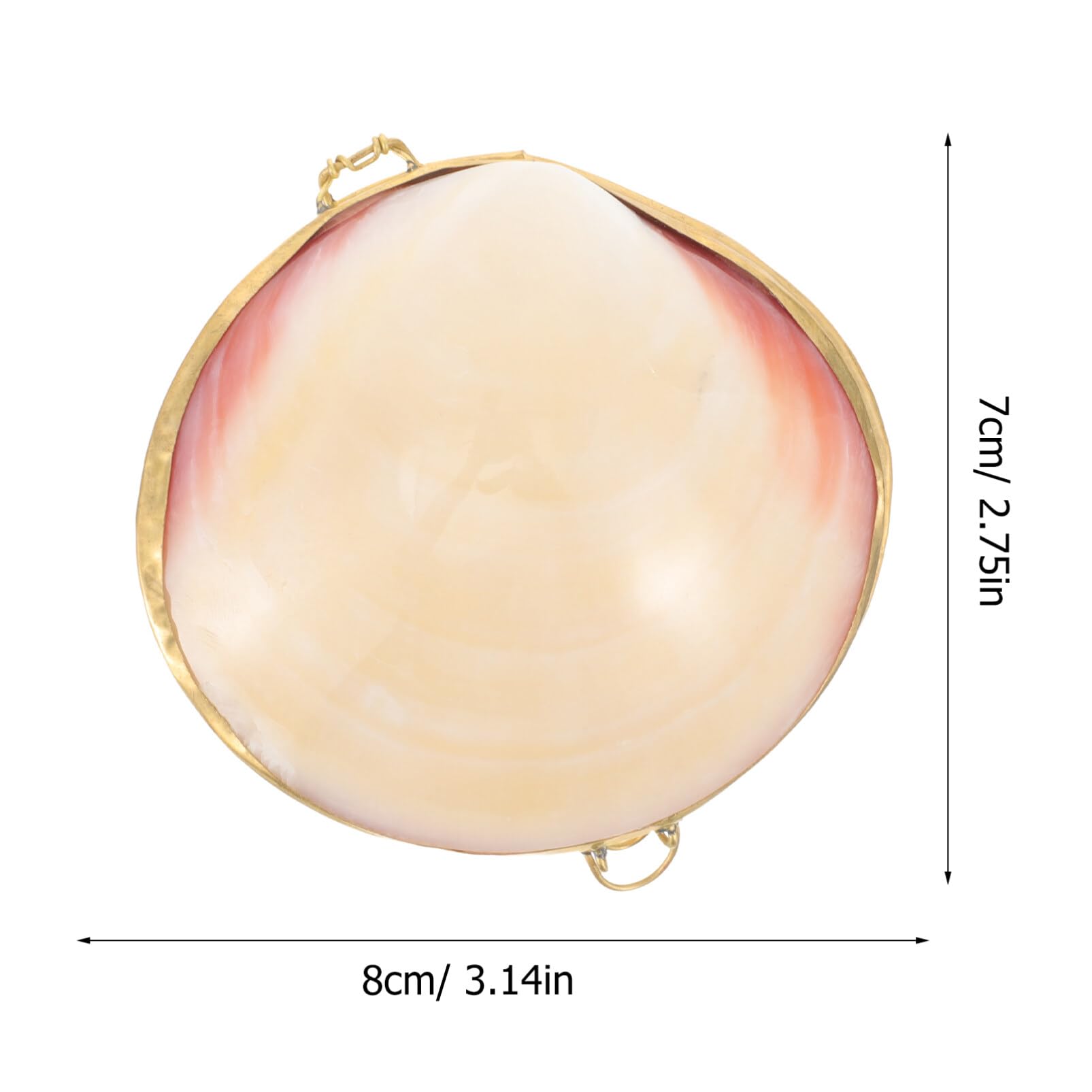 Ibasenice Boîte à Bijoux Coquillage Blanche Forme De