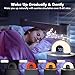 Wake Up Light Sunrise Alarm Clock for Kids, Adults, Heavy Sleepers, Bedroom, Sunlight Alarm Clock with Sunrise Simulation, Dual Alarms, Night Light, Snooze, 7 Alarm Sounds, 7-5-2 Modes, Ideal for Gift