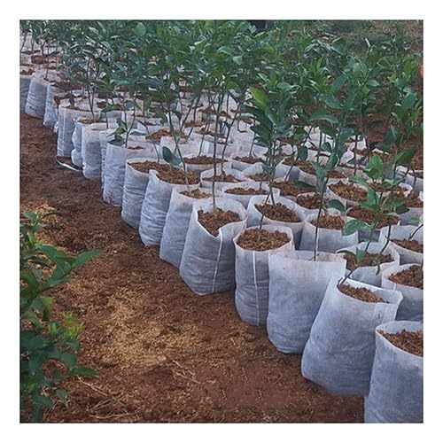 MRVAKDYDI 100 Stück Abbaubare Anzuchttöpfe Stoff