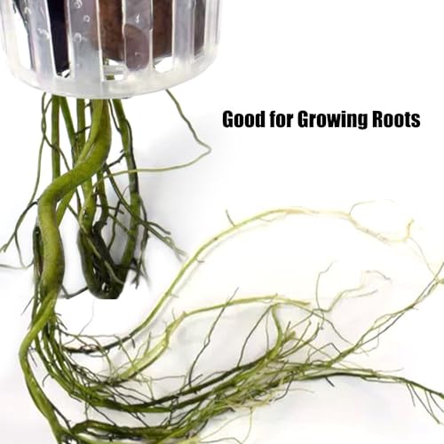 Image of MiOYOOW Aquarium Plant Holder, 2PCS Wall-Hanging Fish Tank Plant Pot with Rooting Hole for Aquarium Plants Decorations