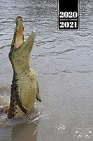 Crocodile Alligator Gharial Caiman Reptile Week Planner Weekly Organizer Calendar 2020 / 2021 - Jumping Out: Cute Wildlife Animal Pet Bullet Journal Notebook Diary in 6" x 9" Inch Pocket Size 1675915520 Book Cover