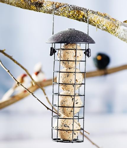 Dehner Natura Premium Wildvogel Futtersäule, Meisenknödelsäule gefüllt, inkl. 4 Meisenknödel, ganzjähriges Wildvogelfutter fettreich / energiereich, hochwertiges Vogelfutter für Wildvögel,ca. Ø 7 cm