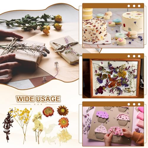 2 sets de flores secas naturales para manualidades miniatura 6