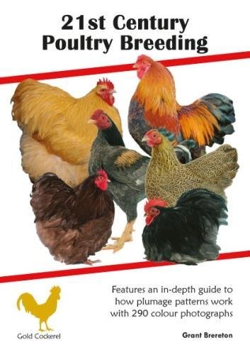 Buy 21st Century Poultry — BookShops.in
