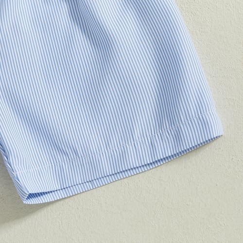Image of Toddler Baby Boy Easter Rabbit Outfit Short Sleeve Bunny Carrot Smocked T-shirt Elastic Waist Shorts Summer Clothes