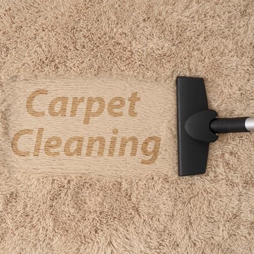 Image of 3x5 feet Soft Area Rug for Living Room and Bedroom, Modern Indoor Floor Carpet with Non-Slip Backing, Comfortable Decorative Home Decor Rug, Easy Clean & Durable- (Beige, Oval)