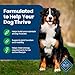 Blue Buffalo Life Protection Formula Adult Dry Dog Food, Helps Build and Maintain Strong Muscles, Made with Natural Ingredients, Lamb & Brown Rice Recipe, 30-lb. Bag