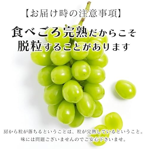 みさわのやさい シャインマスカット の商品画像 4