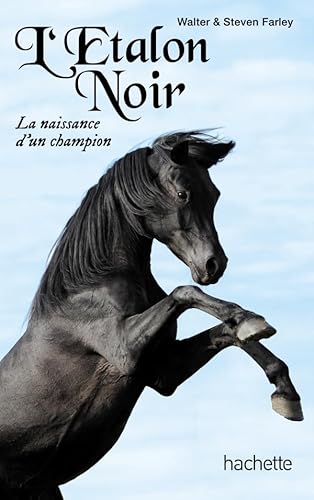 L'étalon noir - La naissance d'un champion (L'É... [French] 2012028683 Book Cover