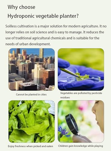 Kit de sistema de cultivo hidropónico, kit de cultivo de hierbas para interiores y hortalizas para jardineros principiantes