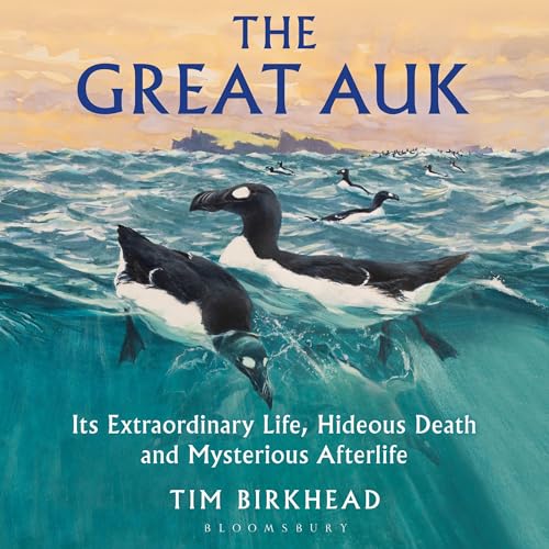 The Great Auk by Tim Birkhead episode artwork