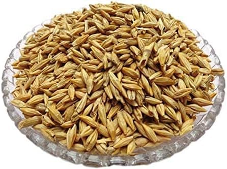 URA Natural Raw Barley - 900gm | Barley Grain/Natural and Rich Fiber Jau Seeds [ Natural Jau ]