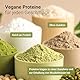 Raab Vitalfood® Naturland Bio Hanfprotein Pulver (500 g) - Protein-Pulver mit 50% pflanzlichem Protein, Hanfsamen aus Bio-Anbau in Österreich, enthält natürlicherweise Eisen und Magnesium