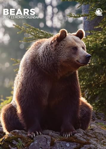 Calendario 2027 de Osos tamaño A3 para pared con fotografías en alta resolución