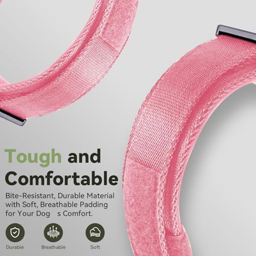 Image of 2026 Upgrade Waterproof Tactical AirTag Dog Collar, Built in AirTag Holder