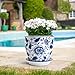 HakkaGirl 8 inch Ceramic Planters for Indoor Plants, Chinoiserie Decor Ceramic Pots for Plants Flower Plant Pots Indoor with Drainage and Saucer, Blue and White