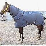 L'utilisation d'une couverture est un incontournable pour éviter que les amis ne tombent malades en toute saison : simple ou avec des accessoires comme des cols roulés, des couvre-queues, c'est le compagnon idéal pour rester au box et mettre en valeur le cheval dans les moments de style détente.