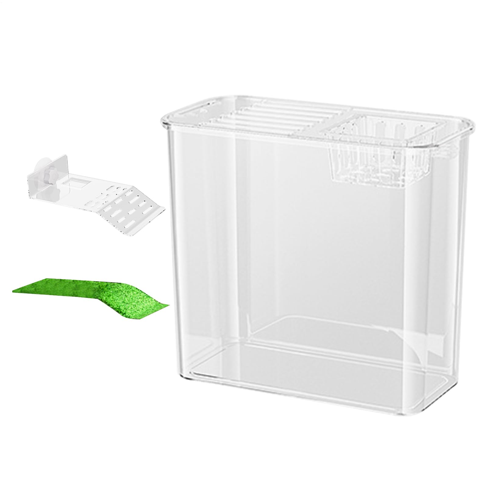 Tartarughiera Trasparente Anfibi Rettile Alimentazione Basking Pesci | Vasca Tartaruga Basking Testuggine Gamberi Paguri Rana Decor Forniture Animali Casa Ufficio Soggiorno Cucina